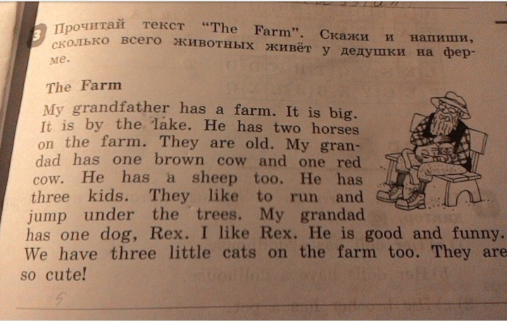 Как переводится is big. On the Farm текст. Прочитай текст the Farm. Текст про ферму на английском языке. Английский текст ферма.