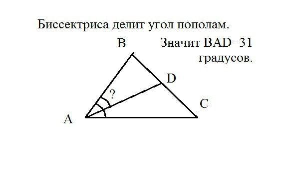 Любая биссектриса треугольника делит его пополам. Биссектриса. Биссектриса делит. Биссектриса делит угол. Биссектриса делит угол пополам.