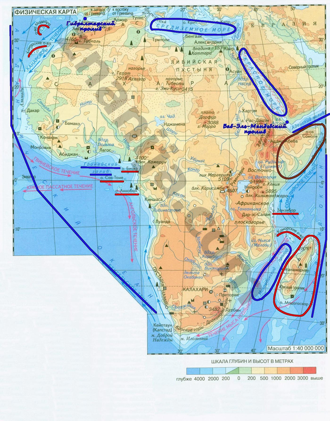 Африка береговая линия моря. Африка заливы и проливы на карте. Карта Африки океаны моря заливы проливы. Африка заливы проливы острова полуострова. Заливы и проливы и острова и полуострова Африки на карте.