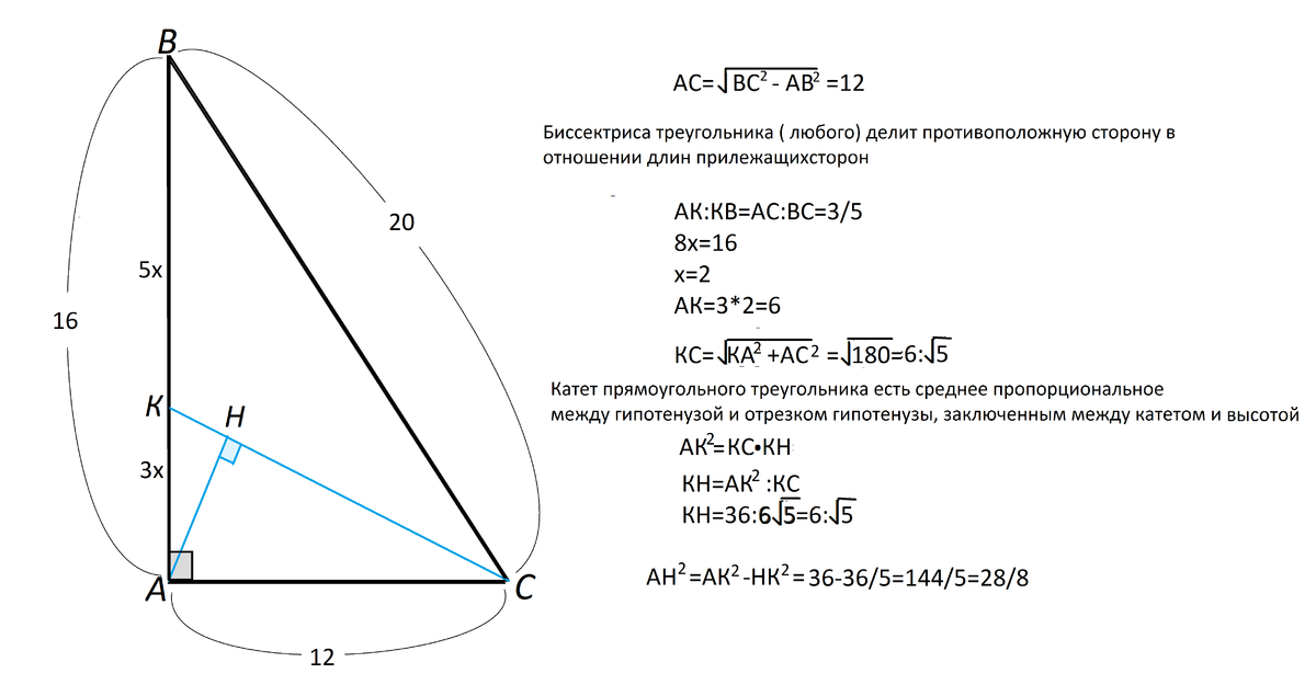 В прямом прямоугольнике гипотенуза. Биссектриса ghzvjeujkmyjujтреугольника. Биссектрисатпрямоугольного треугольника. Биссектриса в прямоугольном треу. Катет прямоугольного треугольника равен.
