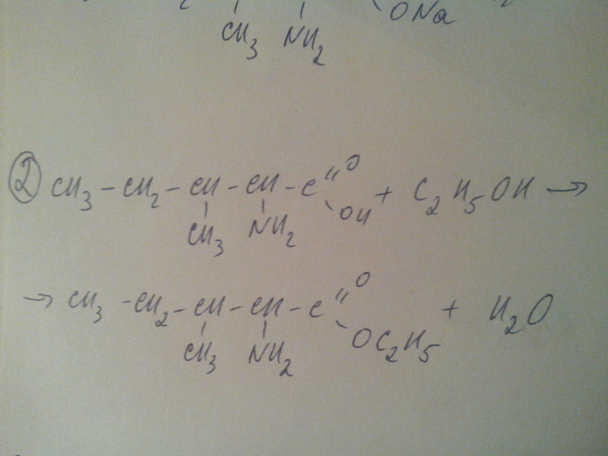 2 метилпентановая кислота формула. 2-Амино-3-метилпентановой кислоты. 2-Амино-4-метилпентановой кислоты. 3 Амино 3 метилпентановая кислота.