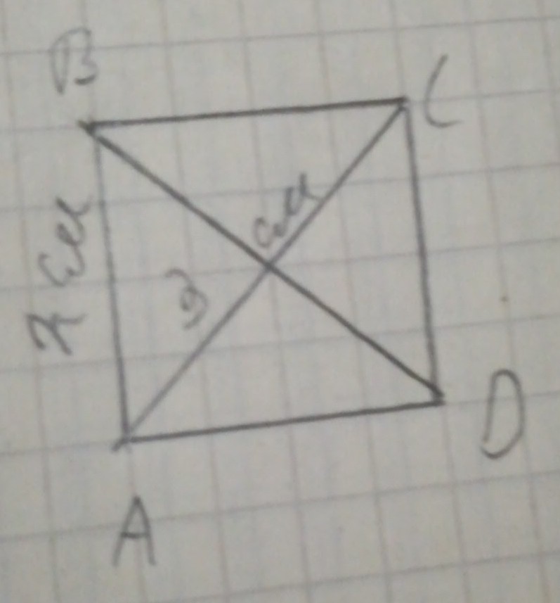 Построй квадрат со стороной 2. Диагональ квадрата со стороной 2 см. Квадрат с двумя диагоналями. Квадрат с диагональю 5 см. Диагональ квадрата со стороной 5.