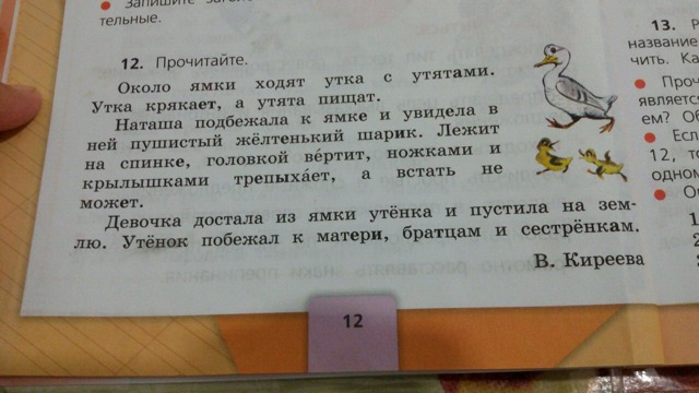 Мне было 12 читать. Предложение про утят. Утка по русскому языку 3 класс. Предложение с уткой. Прочитайте около ямки ходят утка с утятами.