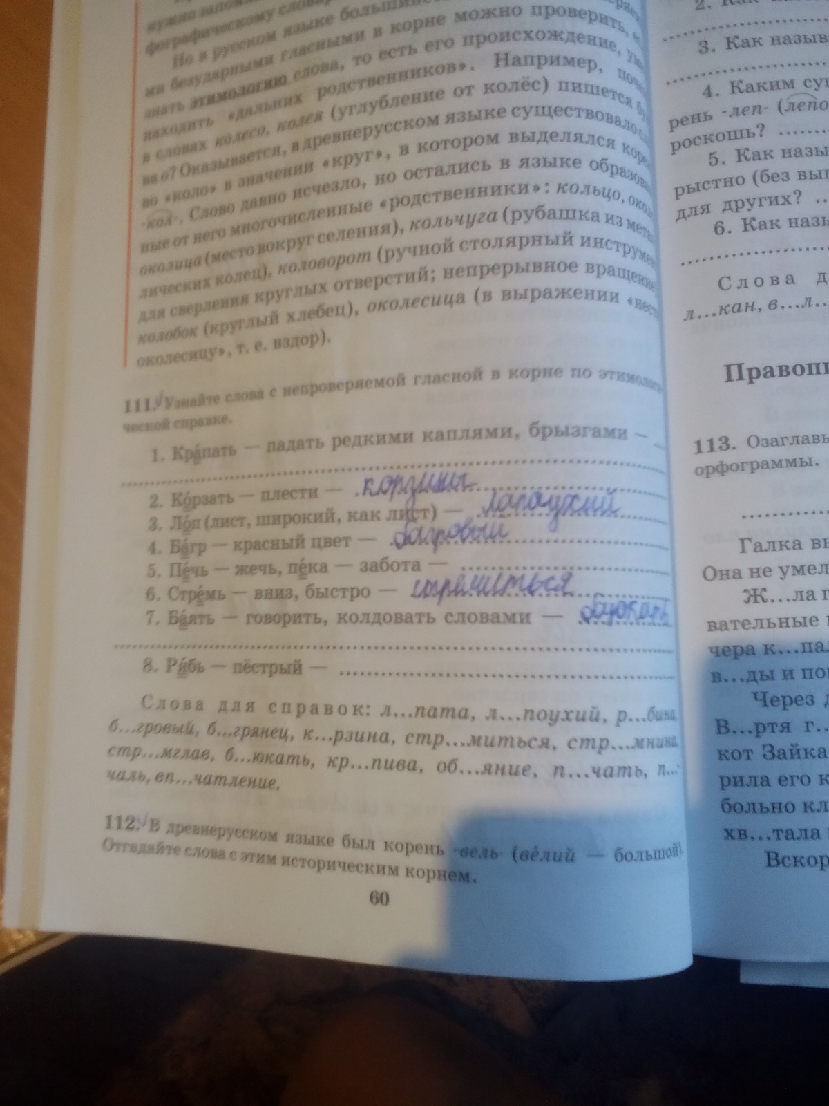 Русский стр 53 номер 111. Русский язык 11 класс номер 111.