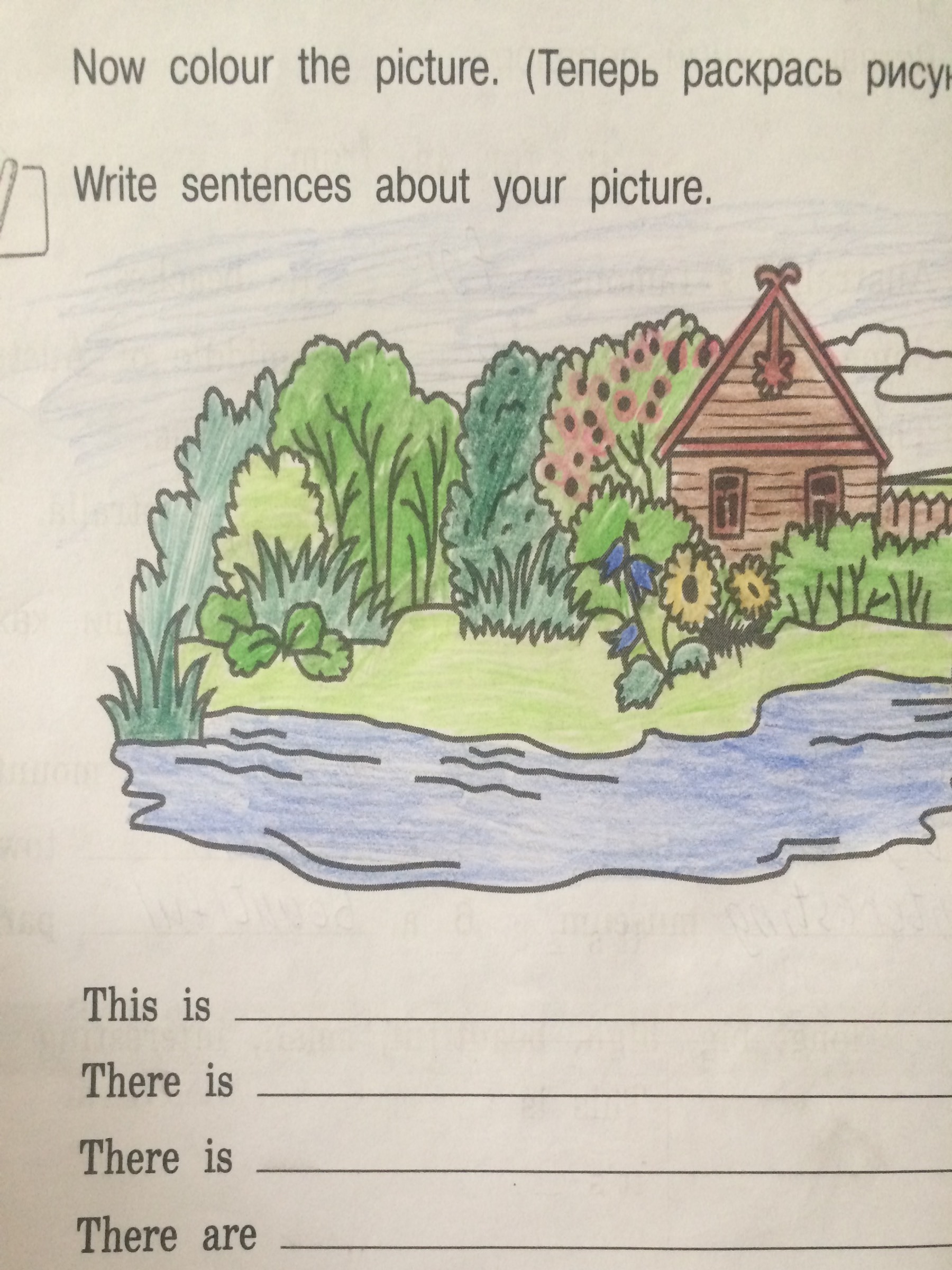 Write sentences about your picture?