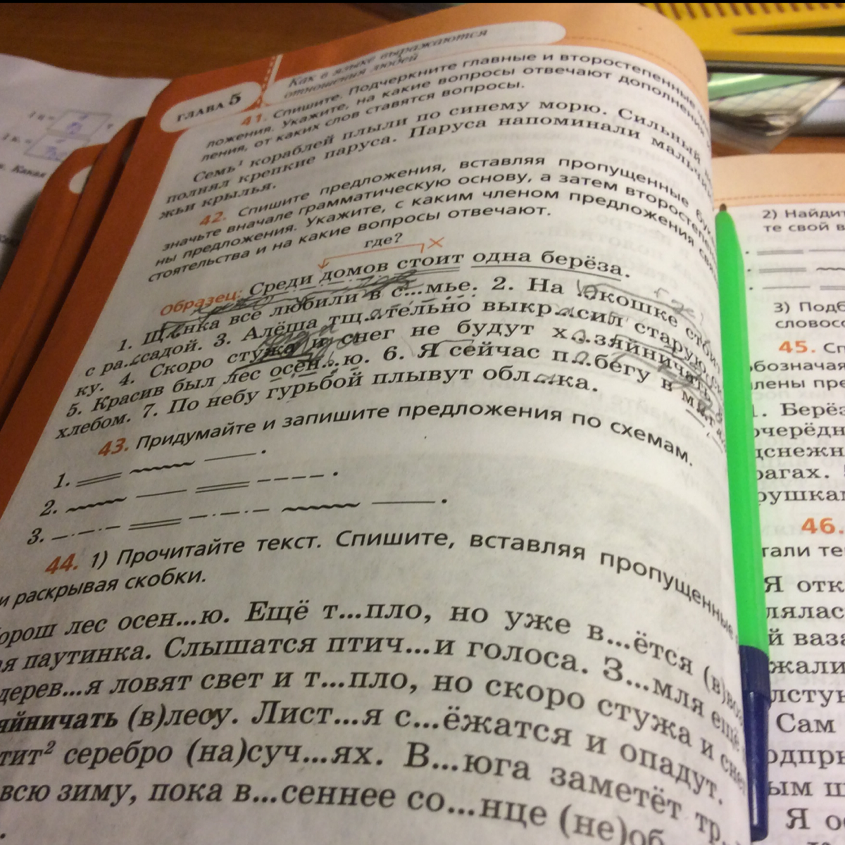 Упр 43. Упр 43 русский язык 9 класс. Русский язык 5 класс упр 43. Русский язык. §5, Упр. 43.