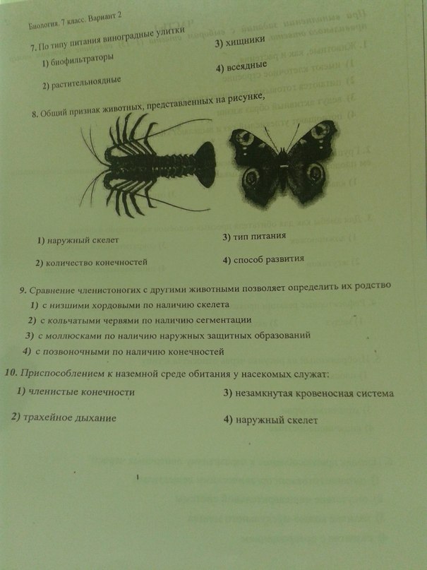 Биология тест класс насекомые. Тест Членистоногие. Тест по биологии 7 класс насекомые. Тест Членистоногие насекомые. Членистоногие тест с ответами.