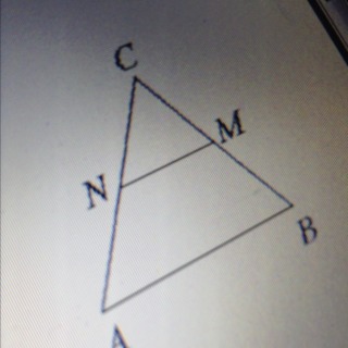 В треугольнике абс отмечены середины м. Треугольник с отмеченной серединой. Площадь четырехугольника ABMN. В треугольнике ABC отмечены середины m и n сторон BC И AC соответственно. Треугольник АВС отмечены середины м и n сторон вс и АС соответственно.