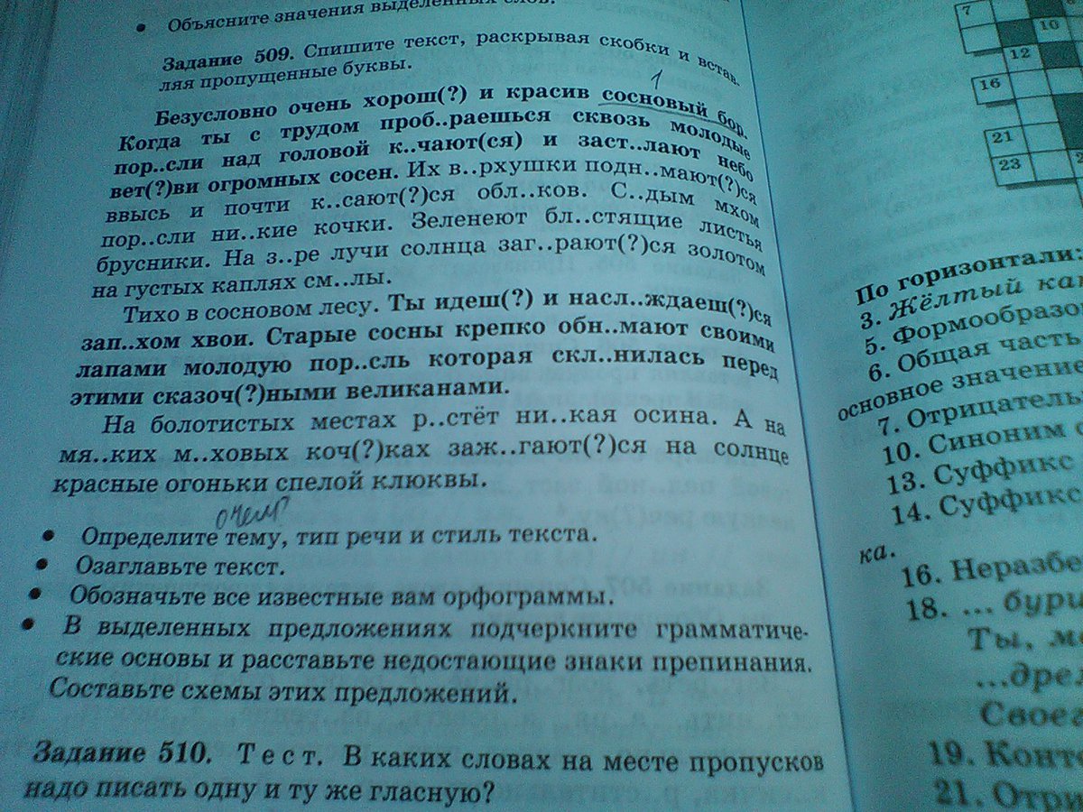 Русский язык 6 класс учебник упражнение 509. Безусловно очень хорош и красив. Безусловно очень хорош и красив Сосновый. Задание 509 безусловно очньхорош.
