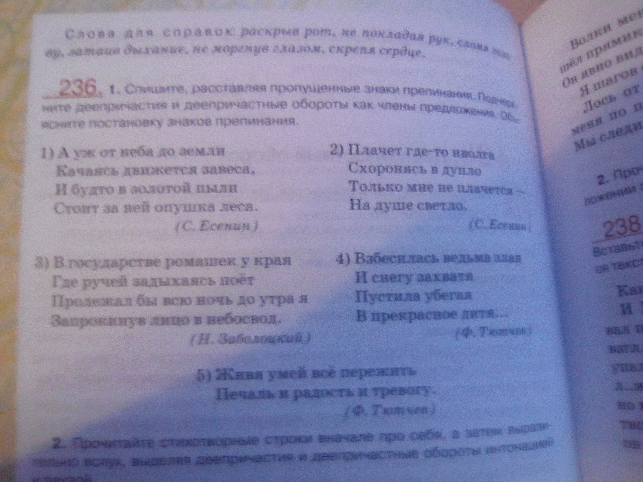 Русский язык стр 112 упр 236