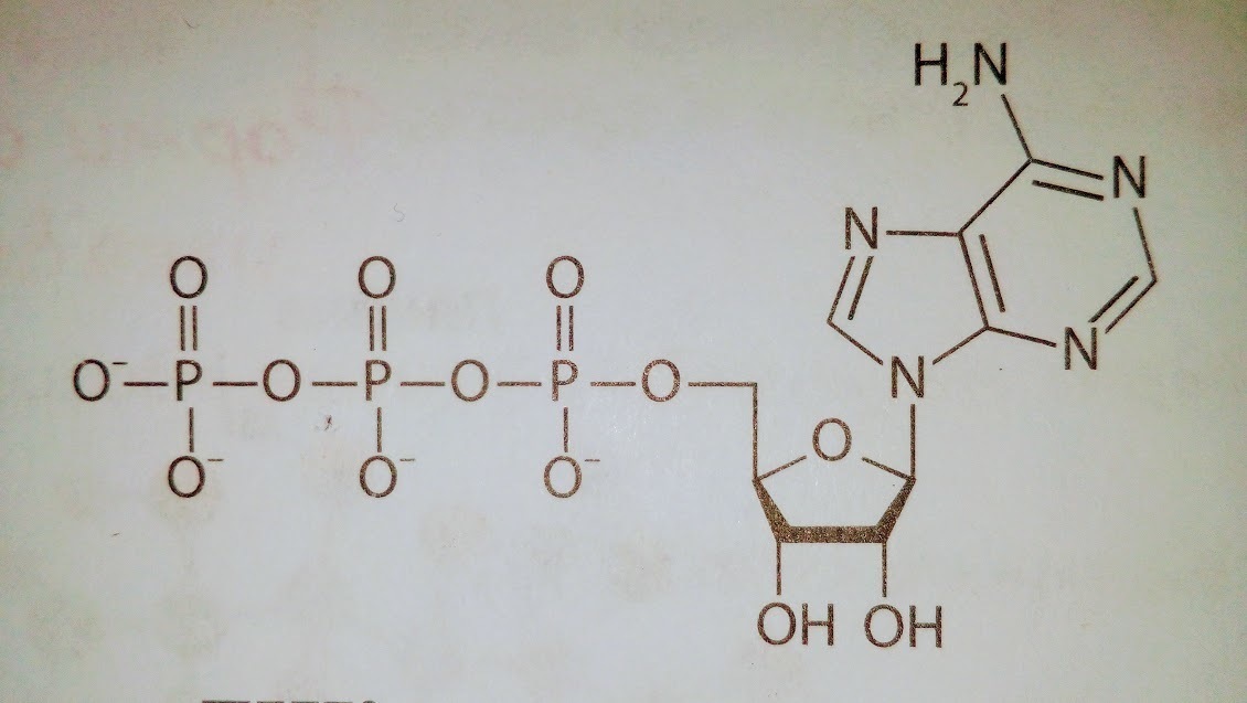 Изобразите молекулу атф. Полиформальдегид структурная формула. СВМПЭ формула молекулы. Полиформальдегидов молекулярная формула. На рисунке изображена формула молекулы.