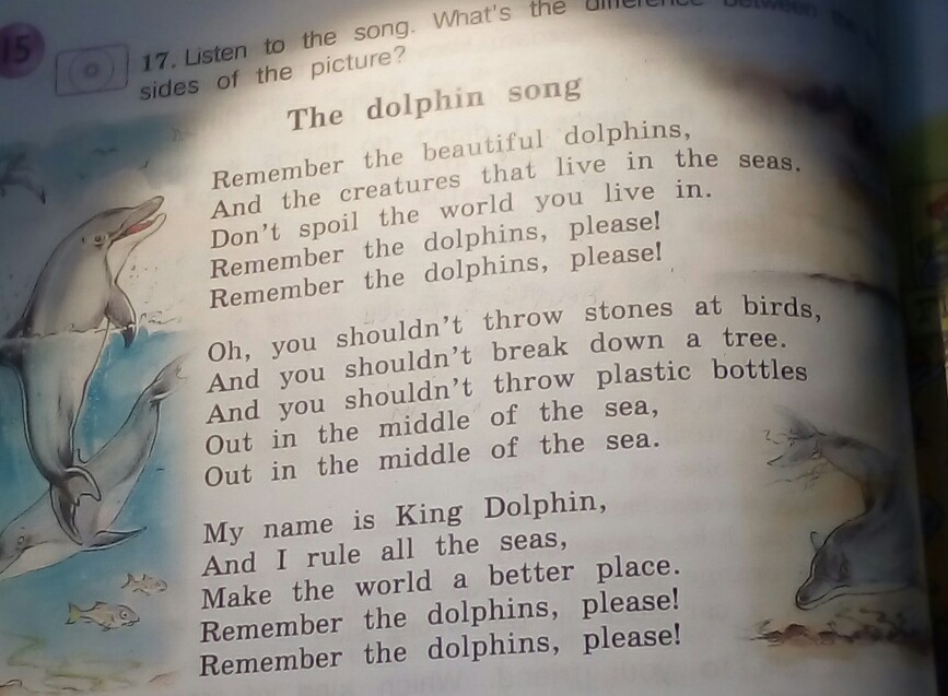 Черный дельфин песня слова